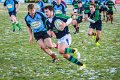 Monaghan Legends V Perennials (26)